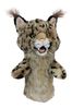 Daphnes Headcovers Brown Bobcat Golf Cover