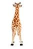 Standing Giraffe 135cm by Childhome