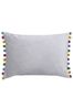 Riva Paoletti Dove Grey/Multi Fiesta Velvet Polyester Filled Cushion