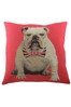 Evans Lichfield Multicolour Churchill Printed Polyester Filled Cushion