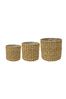 Ivyline Set of 3 Natural Oslo Seagrass Lined Planters
