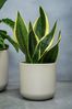 Ivyline Grey Lisbon Planter