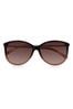 Ted Baker Raven Chocolate Sunglasses