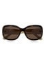 Ted Baker Charlotte Tortoiseshell & Cream Sunglasses