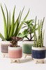 Oliver Bonas Green Green Stripe Footed Plant Pot