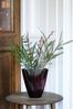 Ivyline Red Burgundy Ribbed Vase