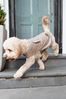 Mink Brown Waterproof Fleece Lined Dog Coat with Reflective Trim