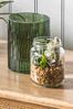 Gallery Home Green Athee In Glass Jar