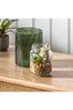 Gallery Home Green Athee In Glass Jar