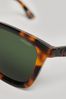 Superdry Brown SDR Trailsman Sunglasses