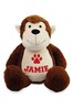 Personalised Monkey Name and Icon Cuddly Toy