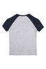 Threadboys Grey Colby Raglan Cotton T Shirt