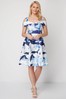 Roman Blue Floral Stripe Fit and Flare Dress
