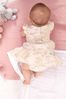 Lipsy Gold Baby Tiered Jacqard Dress With Matching Knicker