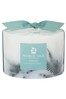 Noble Isle Clear Pinewood Botanical Scented Candle