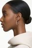 Swarovski Rose Gold Stone Hoop Pierced Earrings