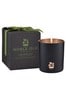 Noble Isle Clear Lightning Oak Single Wick Scented Candle - Forest Of Dean - Endurance & Courage