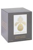 Matthew Williamson Scented Candle - 200g - Palm Springs