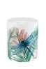 Matthew Williamson Clear Extra Large Luxury Scented Candle- 600g - Palm Springs