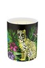 Matthew Williamson Clear Extra Large Luxury Scented Candle - 600g - Midnight Jungle