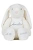 Personalised Cuddly Bunny by Instajunction