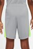 Nike Grey Dri-FIT Academy Training Shorts