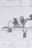 Art For The Home Grey Innocence Birds Framed Floating Canvas