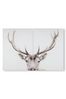 Art For The Home Set of 2 Natural Regal Stag Canvases