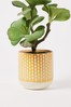 Oliver Bonas Yellow Yucca Ceramic Plant Pot