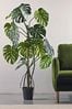 Cox & Cox Green Tall Faux Potted Monstera