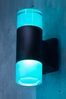 BHS Black Ashby Remote Control Colour Changing Outdoor Wall Light
