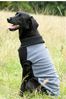 Hugo & Hudson Grey Fleece and Knit Dog Jumper
