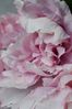 Abigail Ahern Pink Peony Rouge Bunch