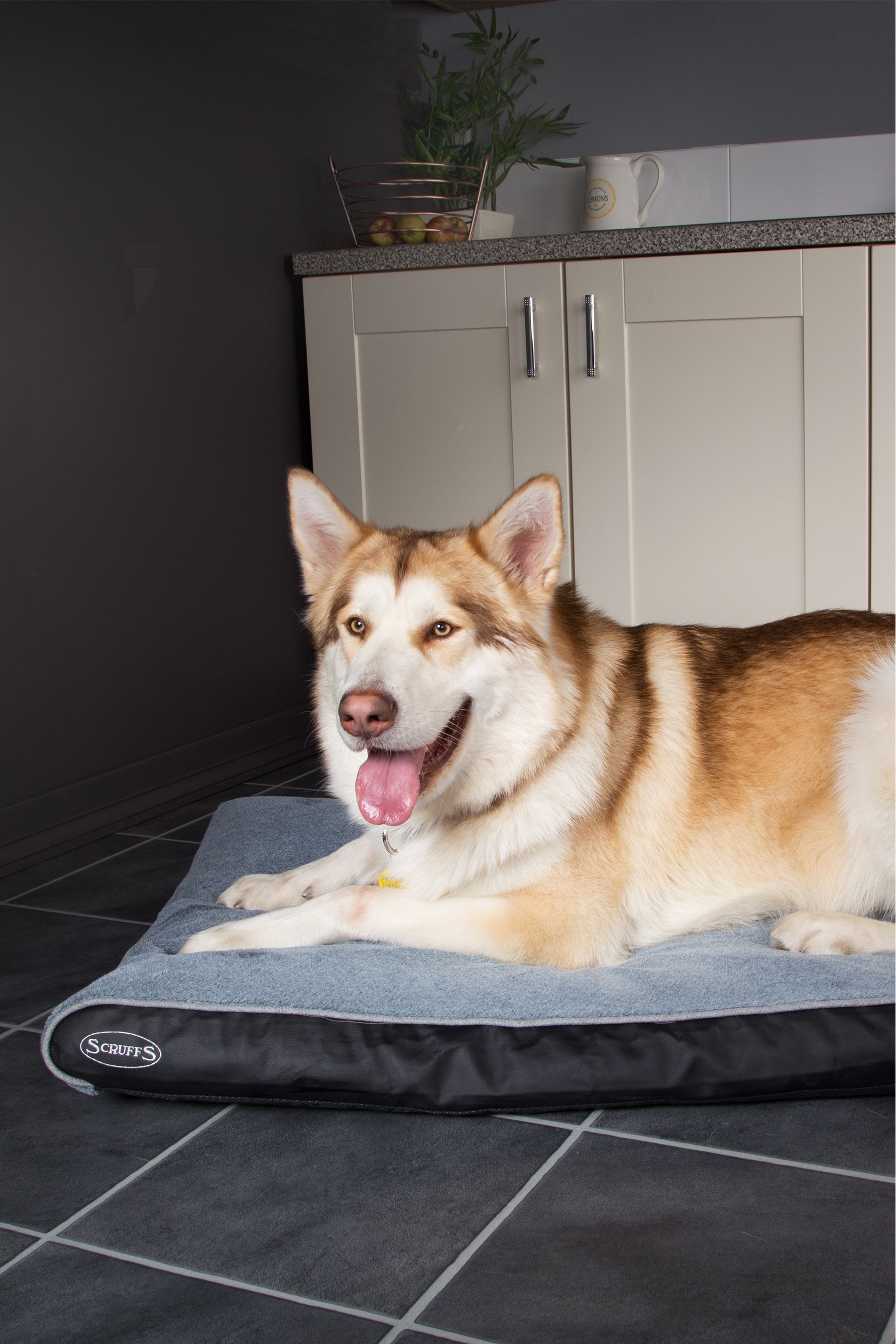 Buy Scruffs® Grey Washable Medium Breed Memory Foam Orthopaedic Dog