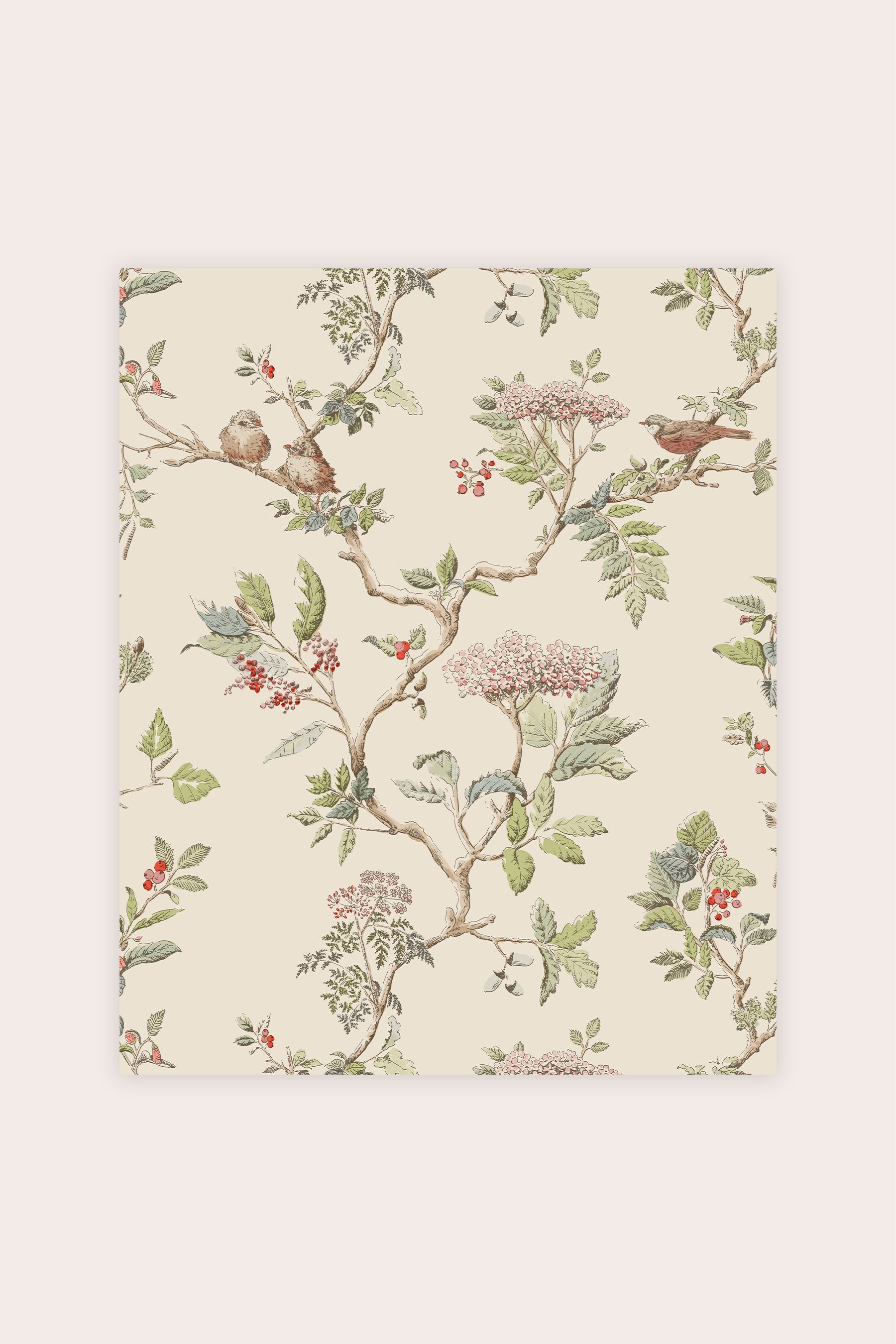 Buy Laura Ashley Elderwood Wallpaper Sample from the Next