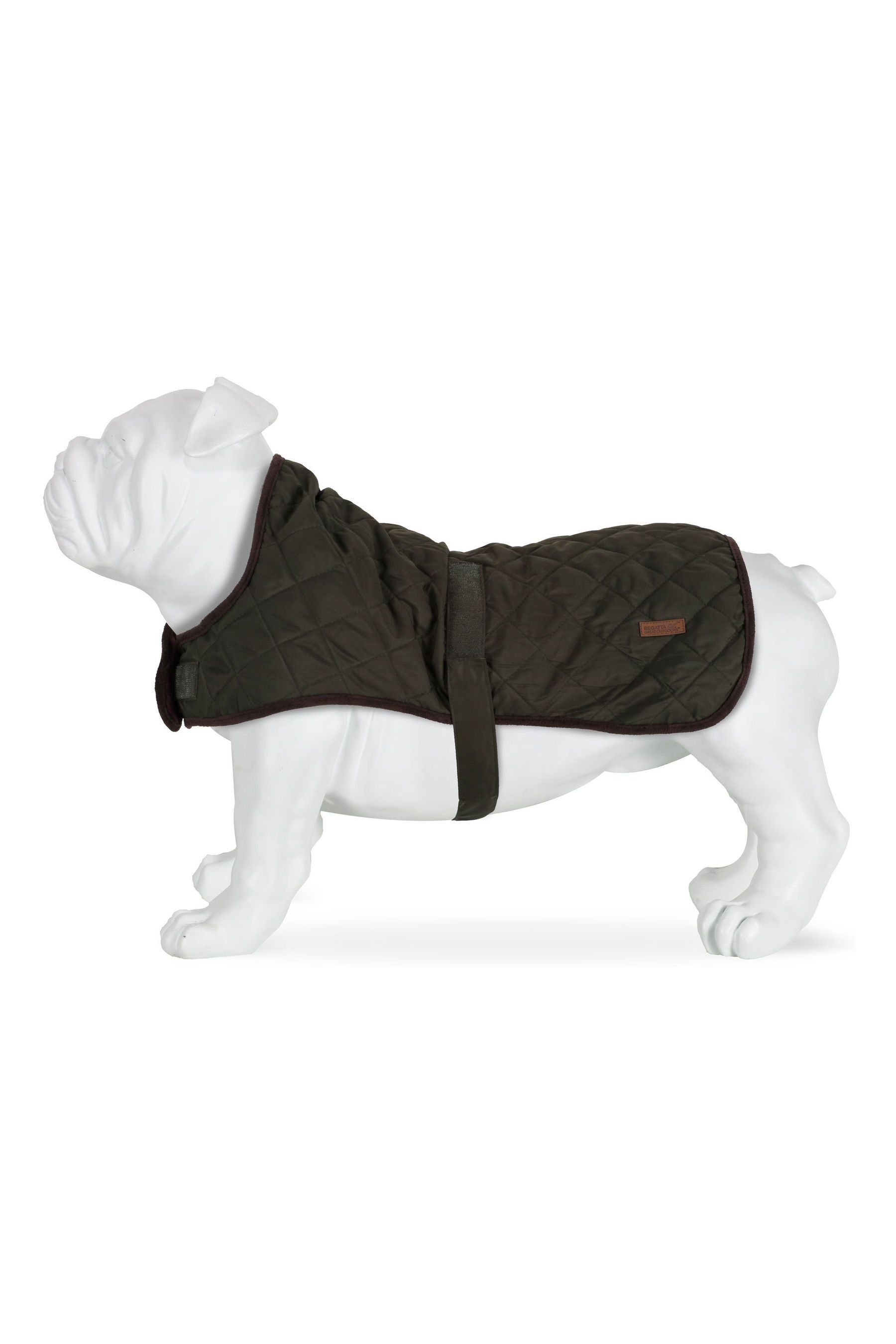 Buy Regatta Odie Green Quilted Lined Dog Coat from Next Luxembourg