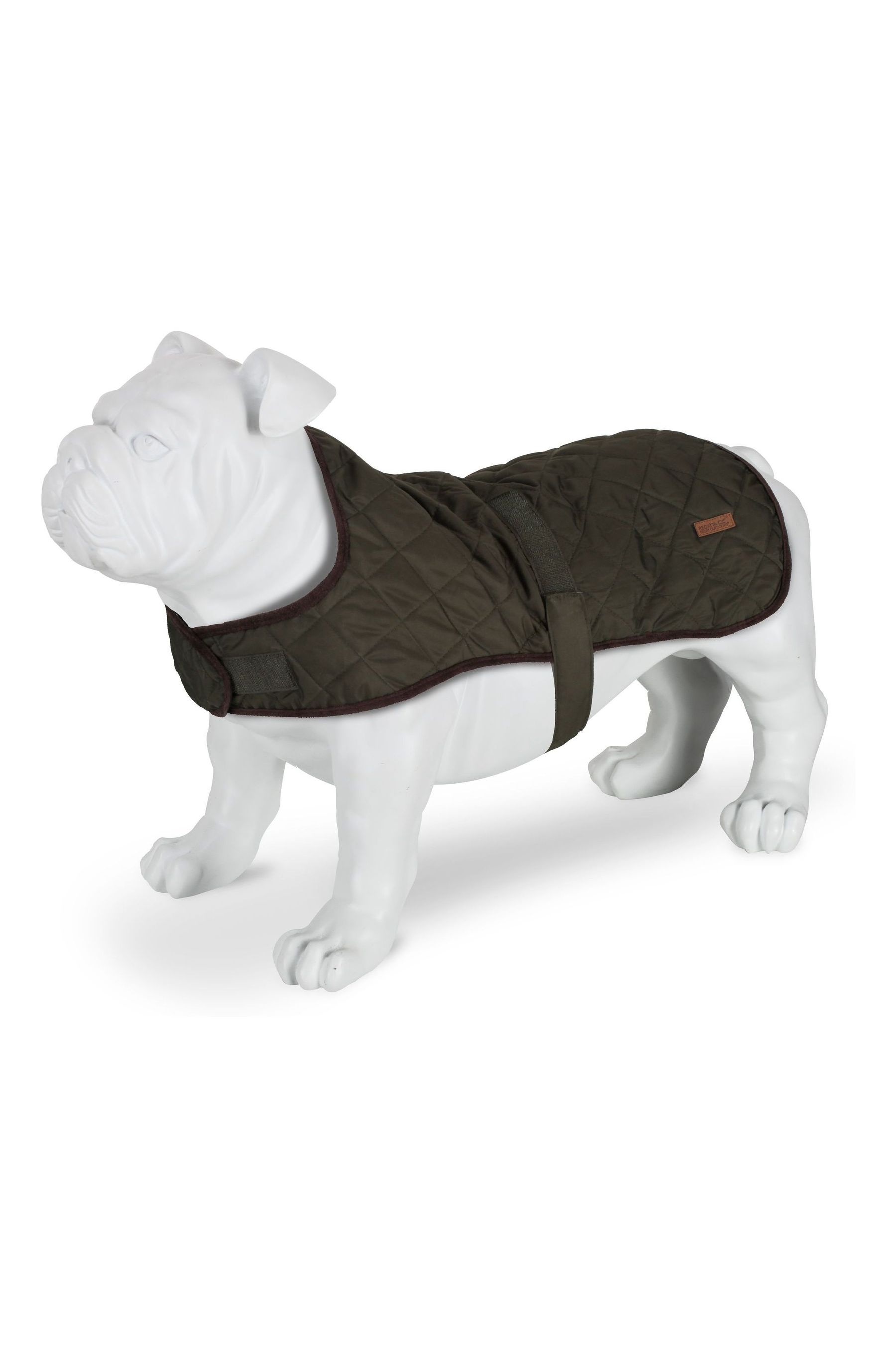 Buy Regatta Odie Green Quilted Lined Dog Coat from Next Luxembourg