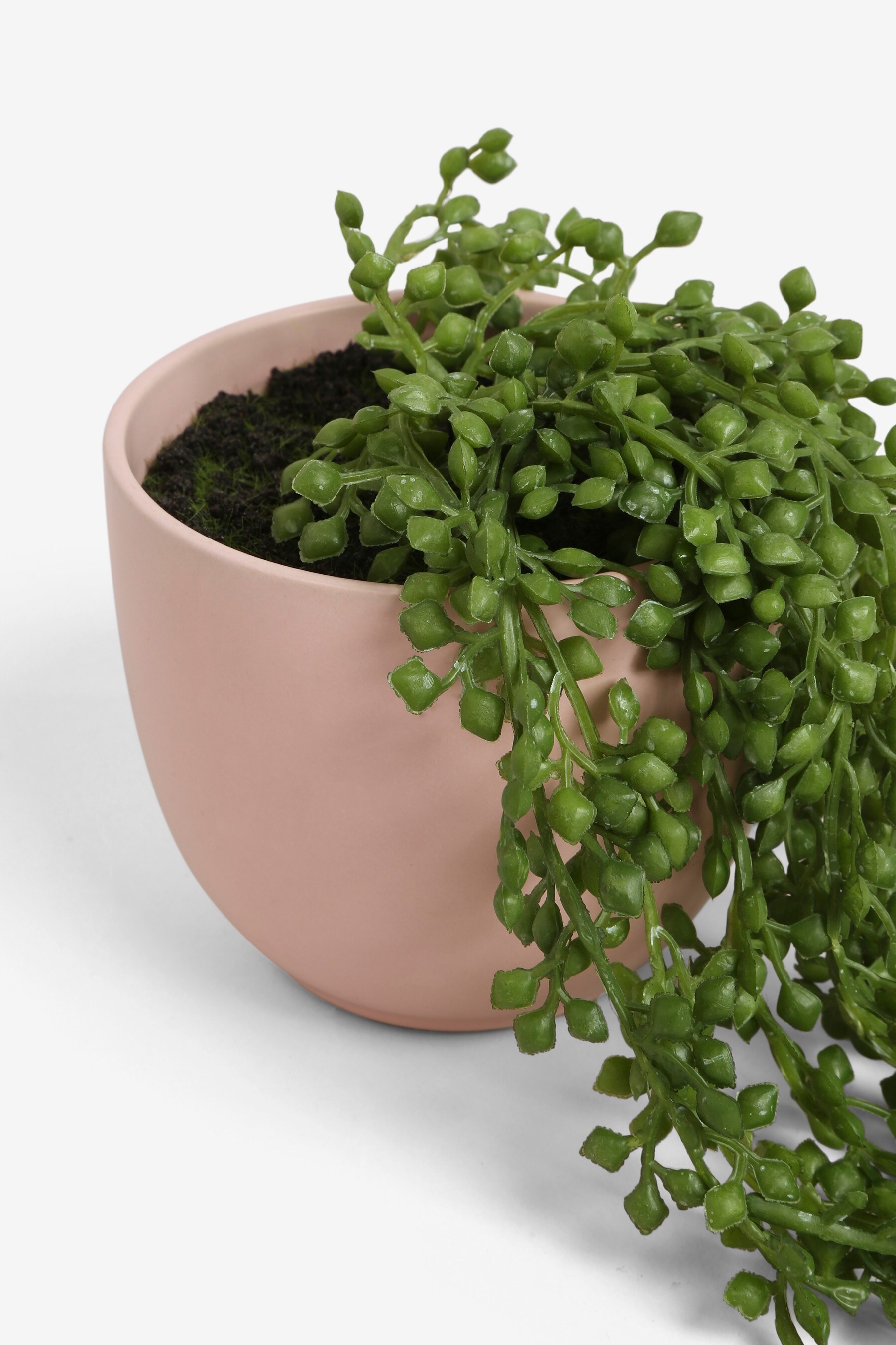 Buy Artificial Trailing Plant In Ceramic Pot from the Next