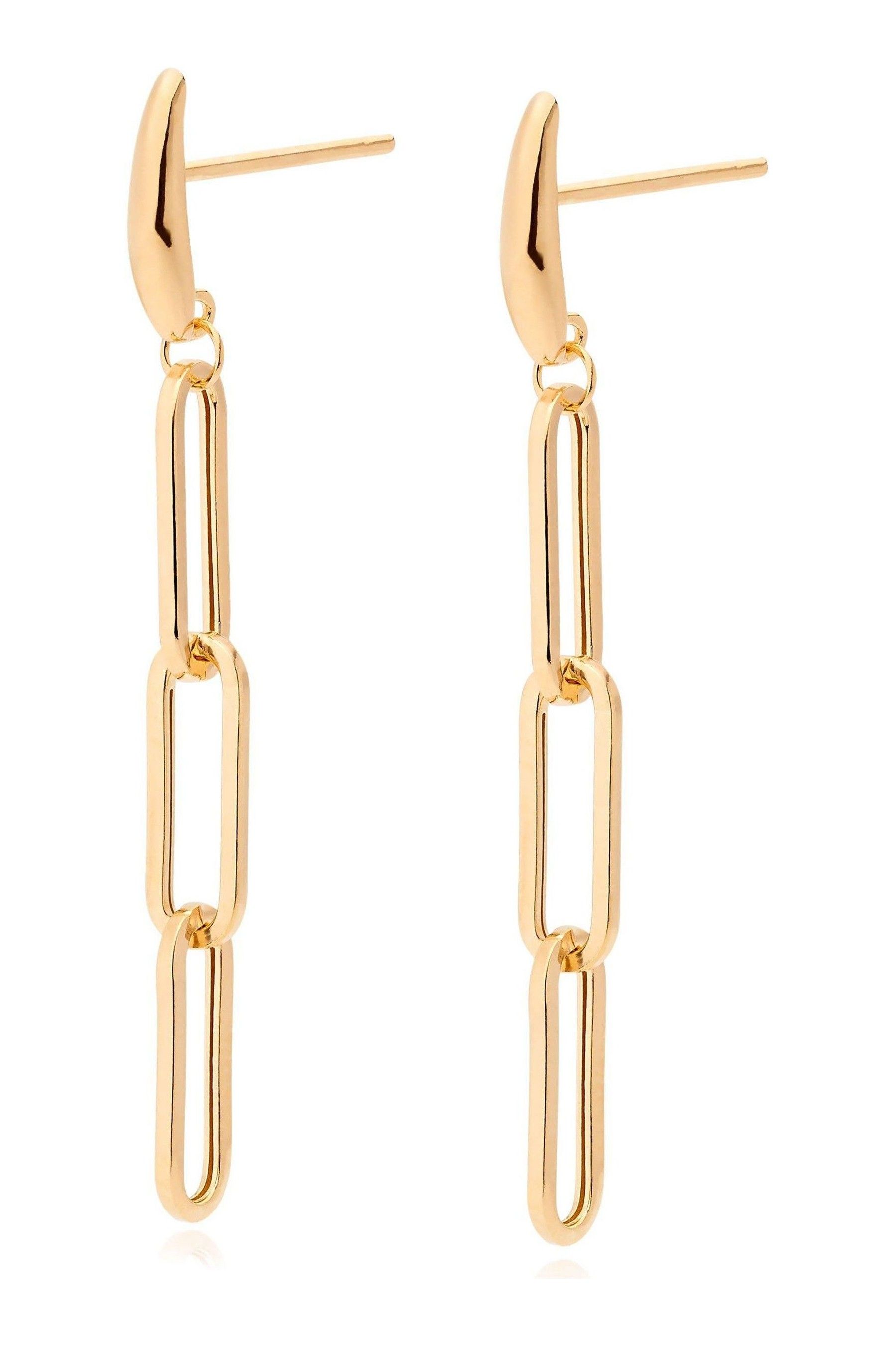 dionysus chain bag