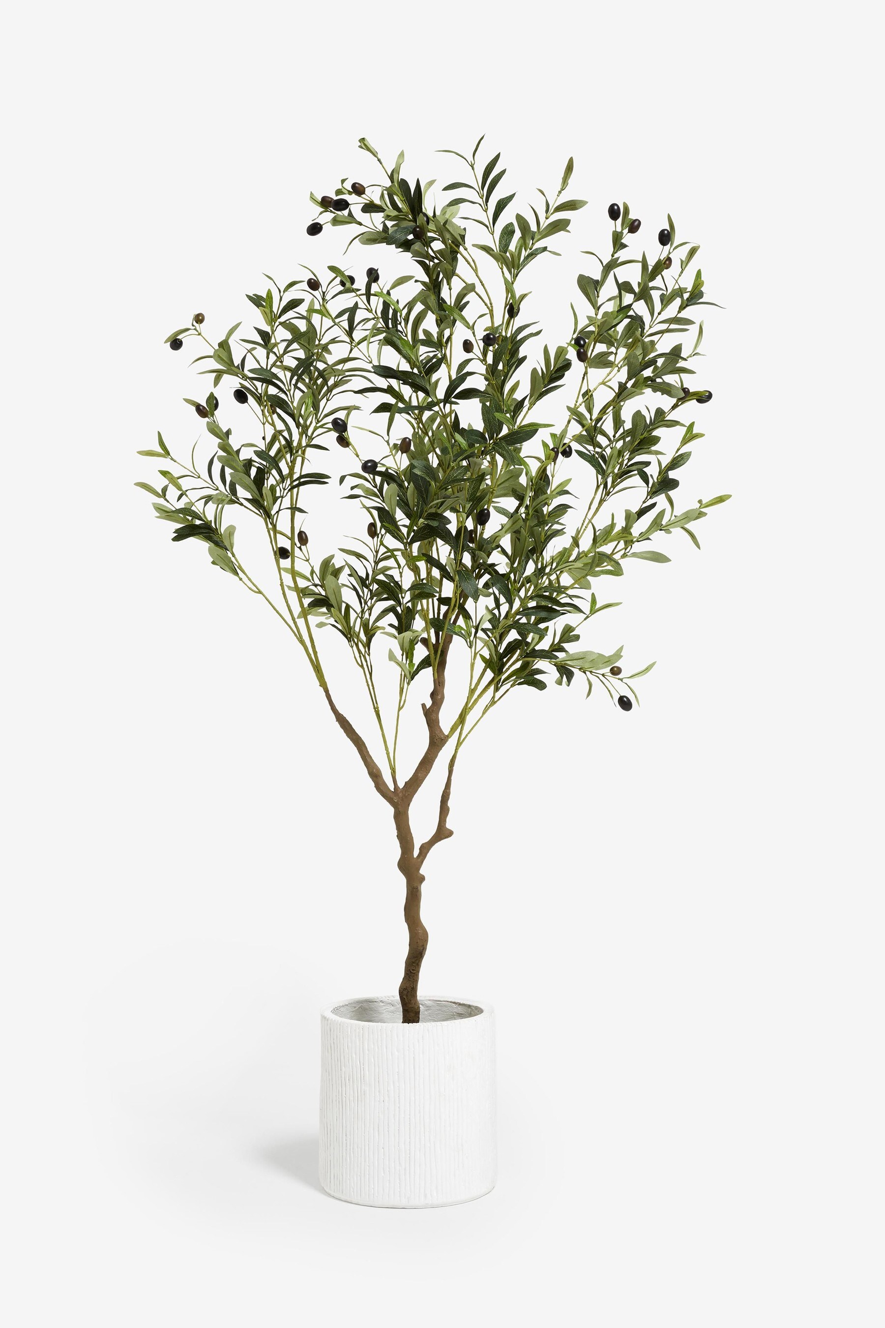 Buy Artificial Olive Tree In Pot from the Next UK online shop
