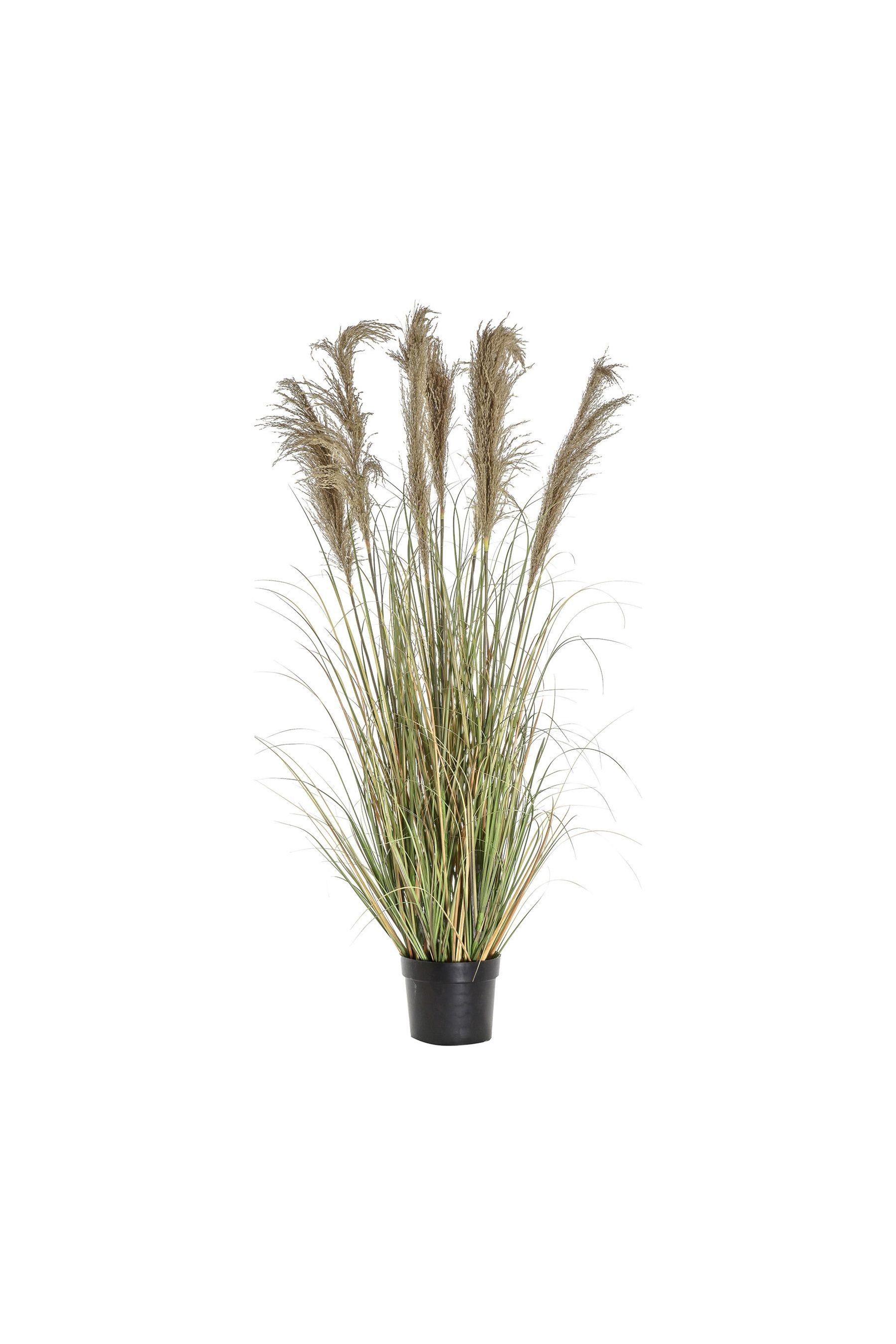 Buy Gallery Home Green Artificial Seven Headed Pampas Grass In Pot from