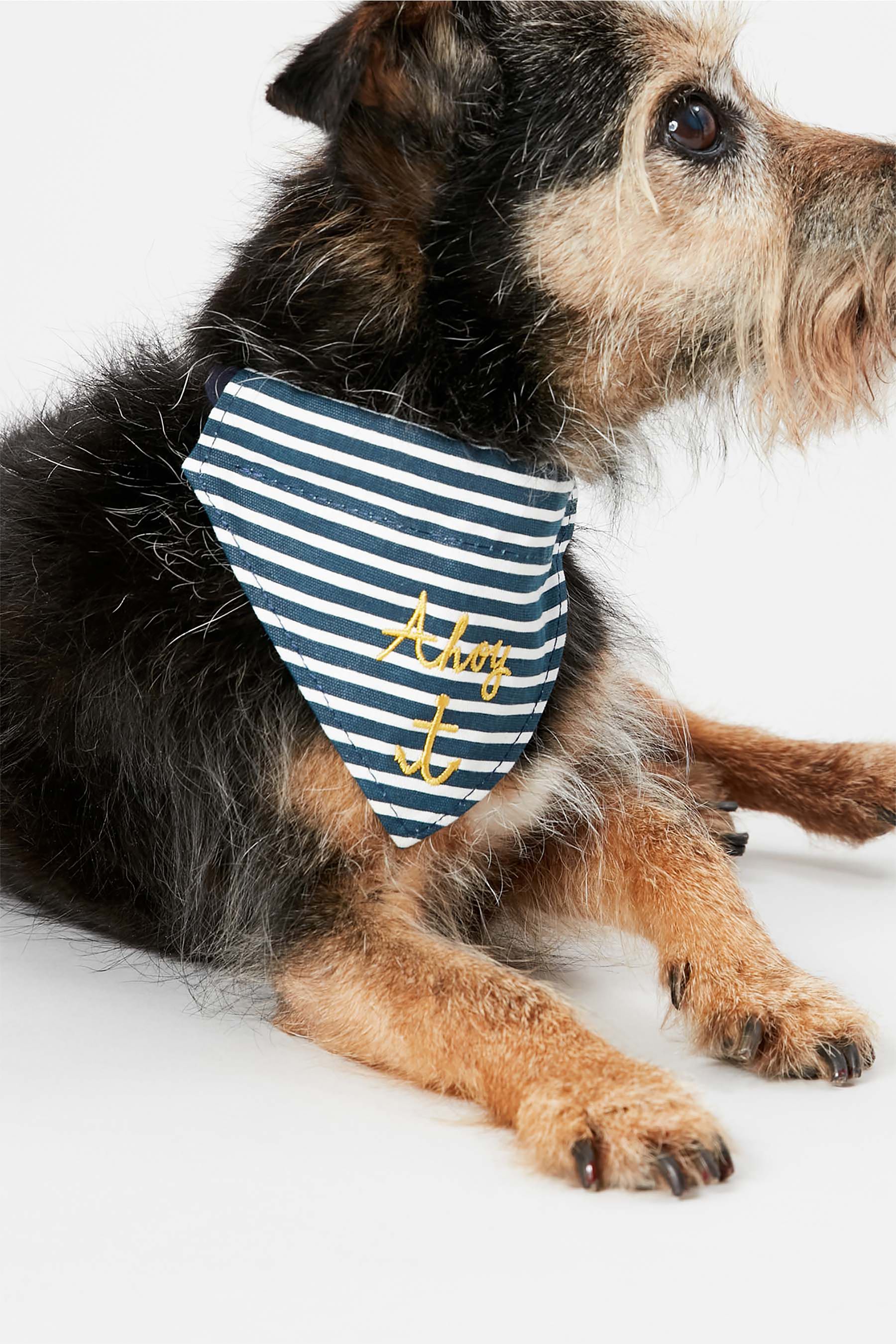 Buy Joules Blue Medium Bandana Dog Neckerchief from the Next UK online shop
