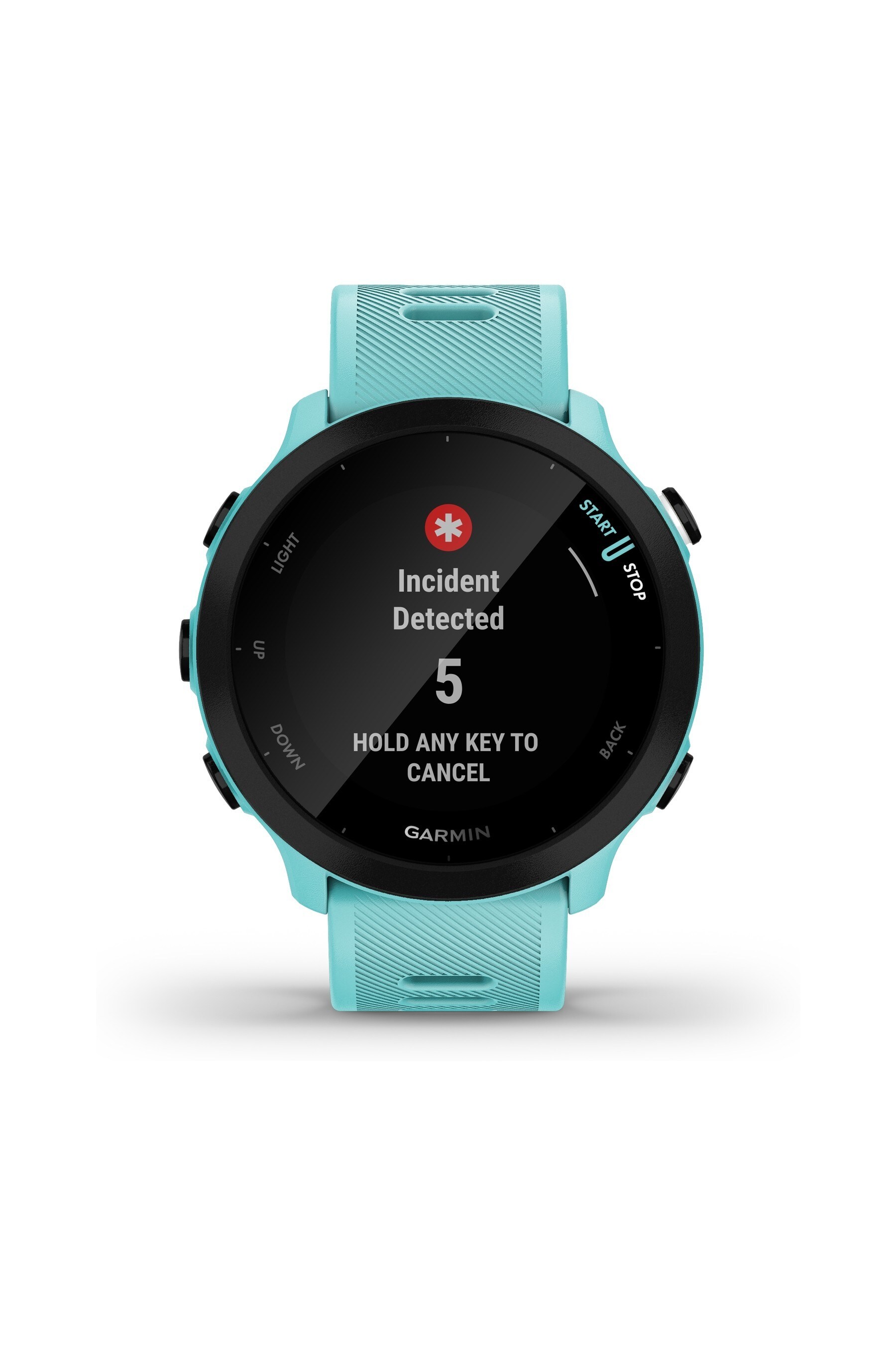 garmin next forerunner