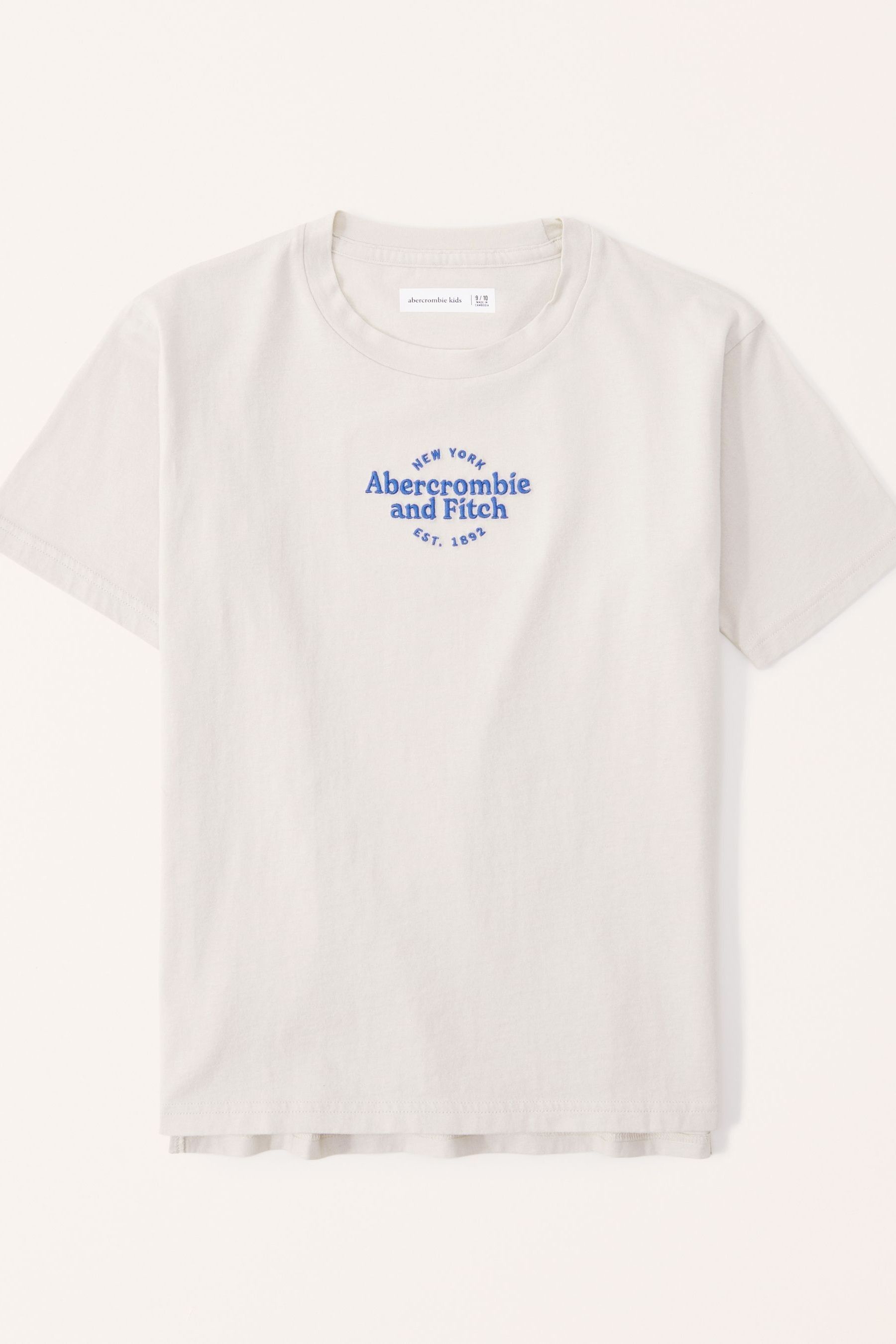 Buy Abercrombie & Fitch Logo Oversized TShirt from Next Ireland