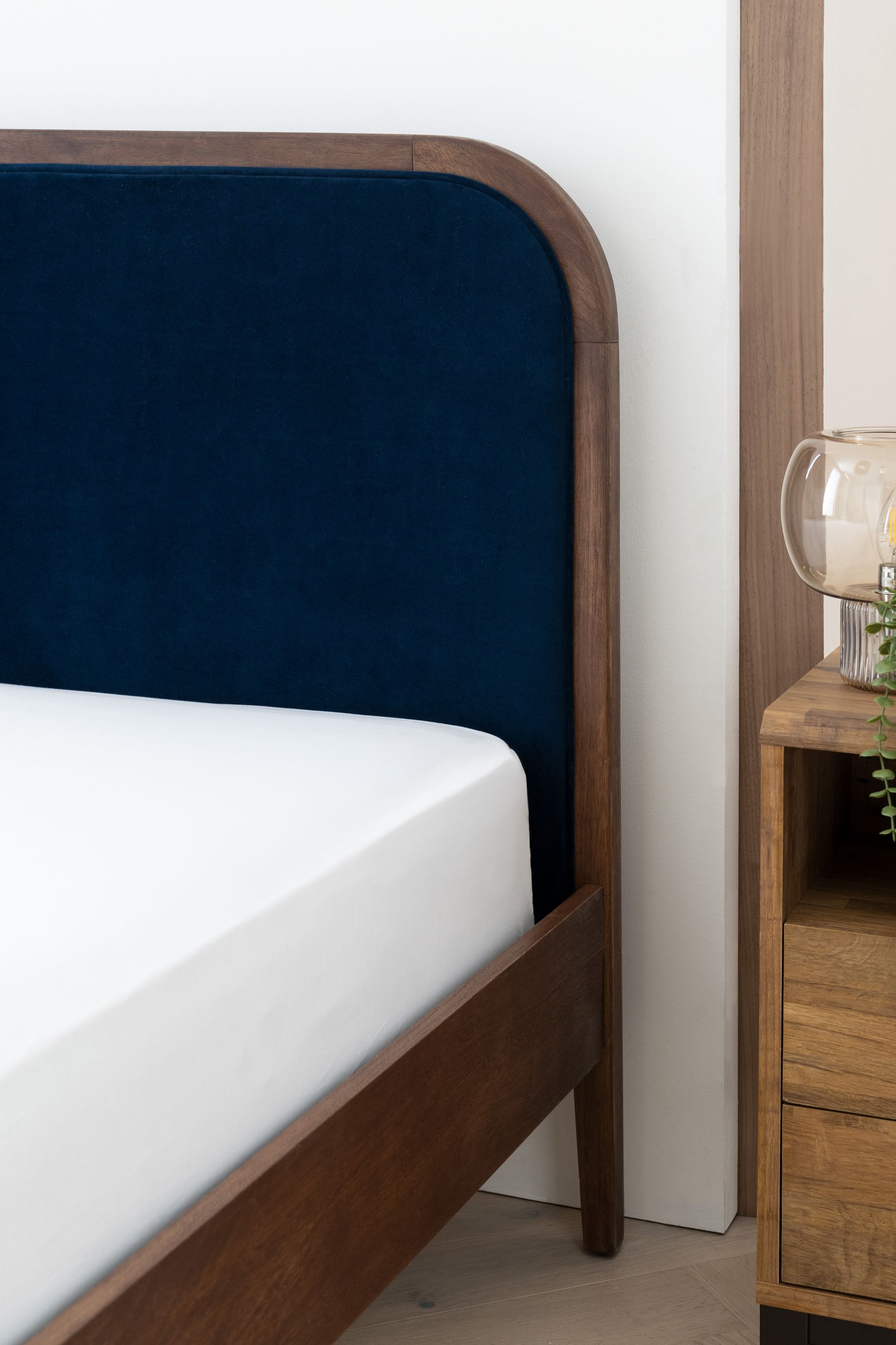 Buy Sophia Bed Frame from Next Ireland