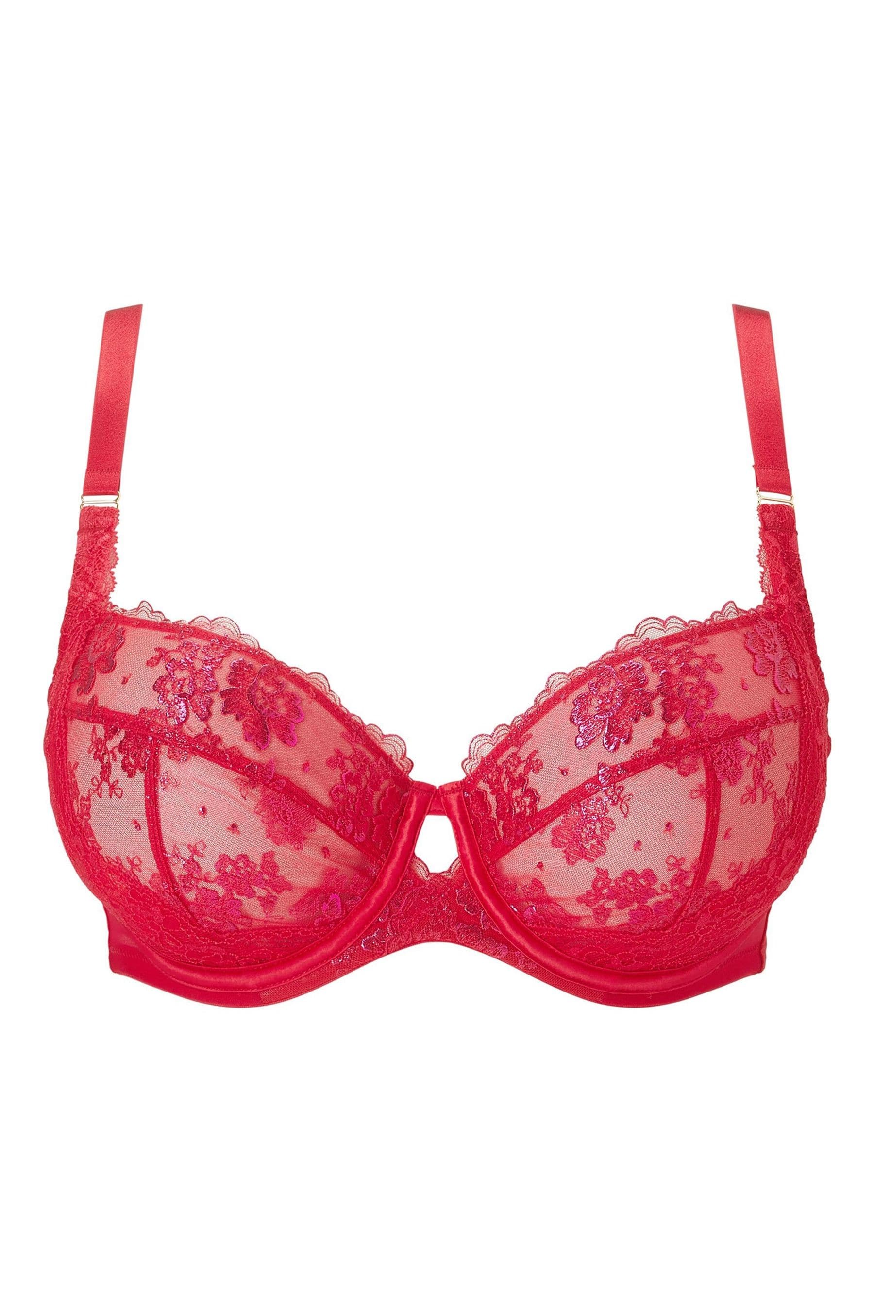 Buy Ann Summers Red The Carmen Lace DD+ Non Pad Balcony Bra from Next ...