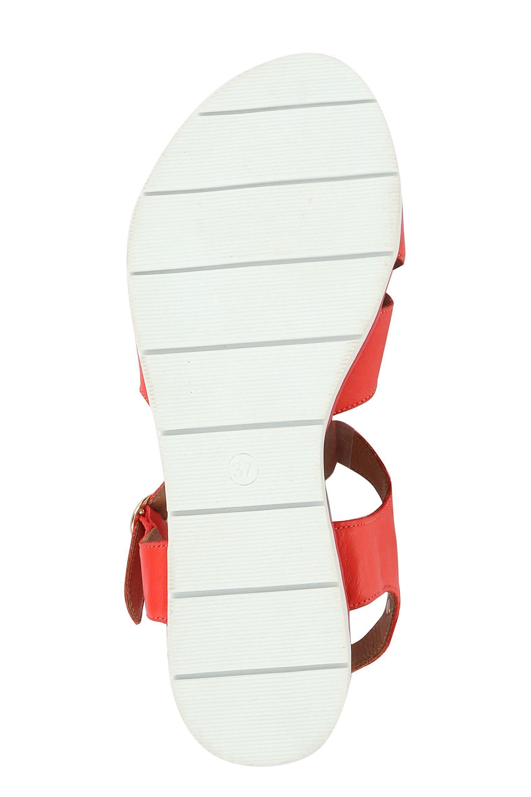 puma two fold