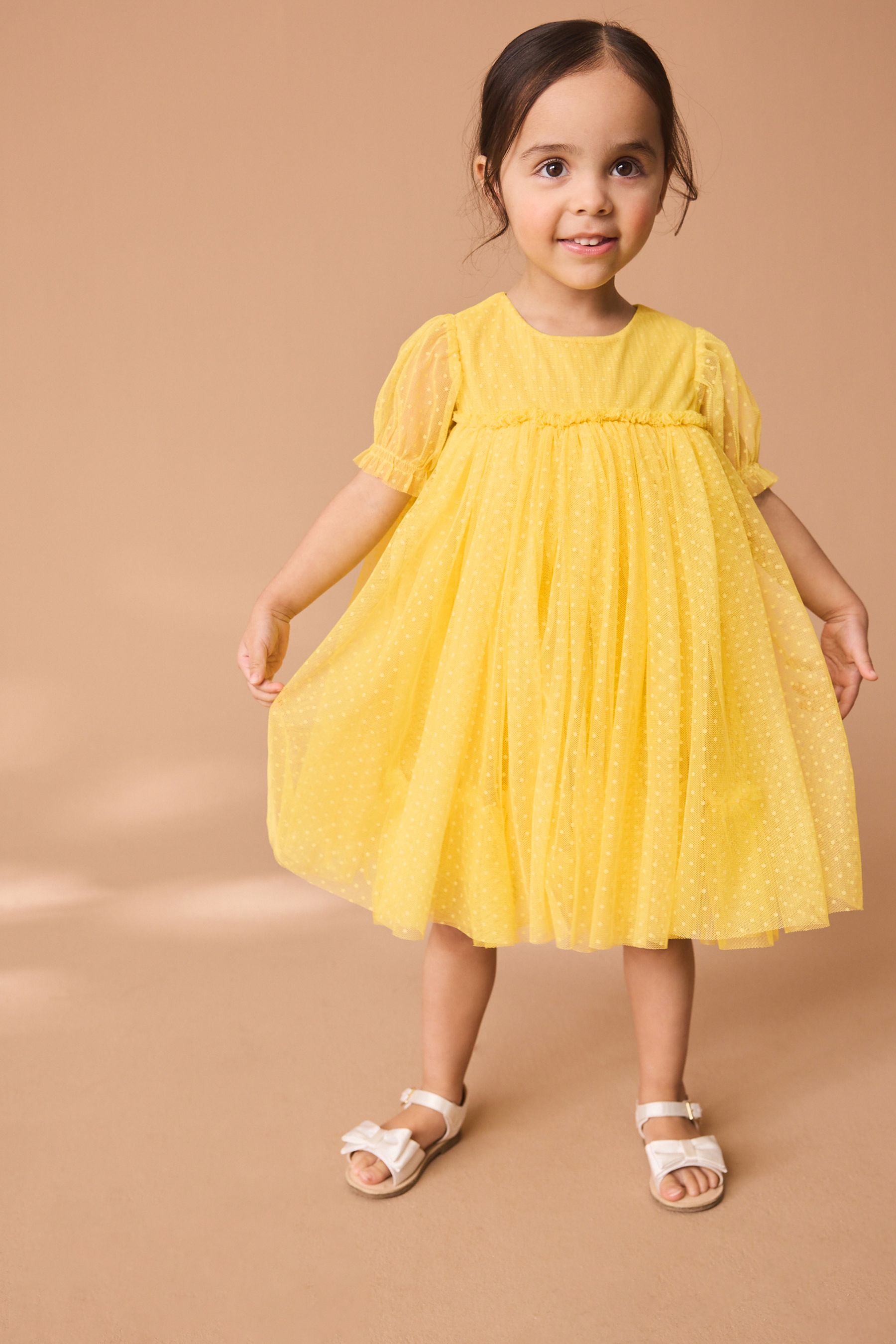 Buy Yellow Mesh Party Dress (3mths7yrs) from Next Saudi Arabia
