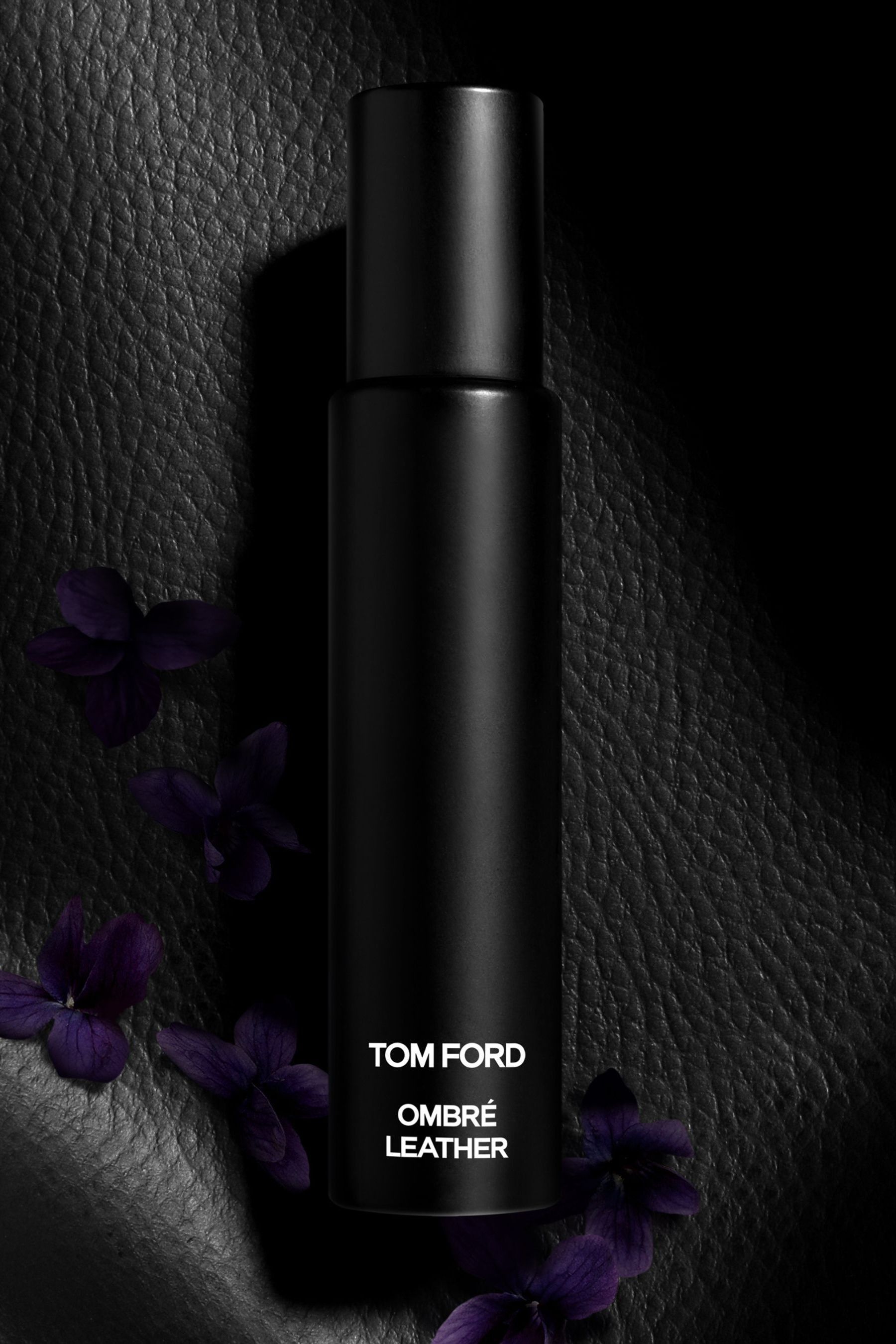 Tom ford ombre leather фото