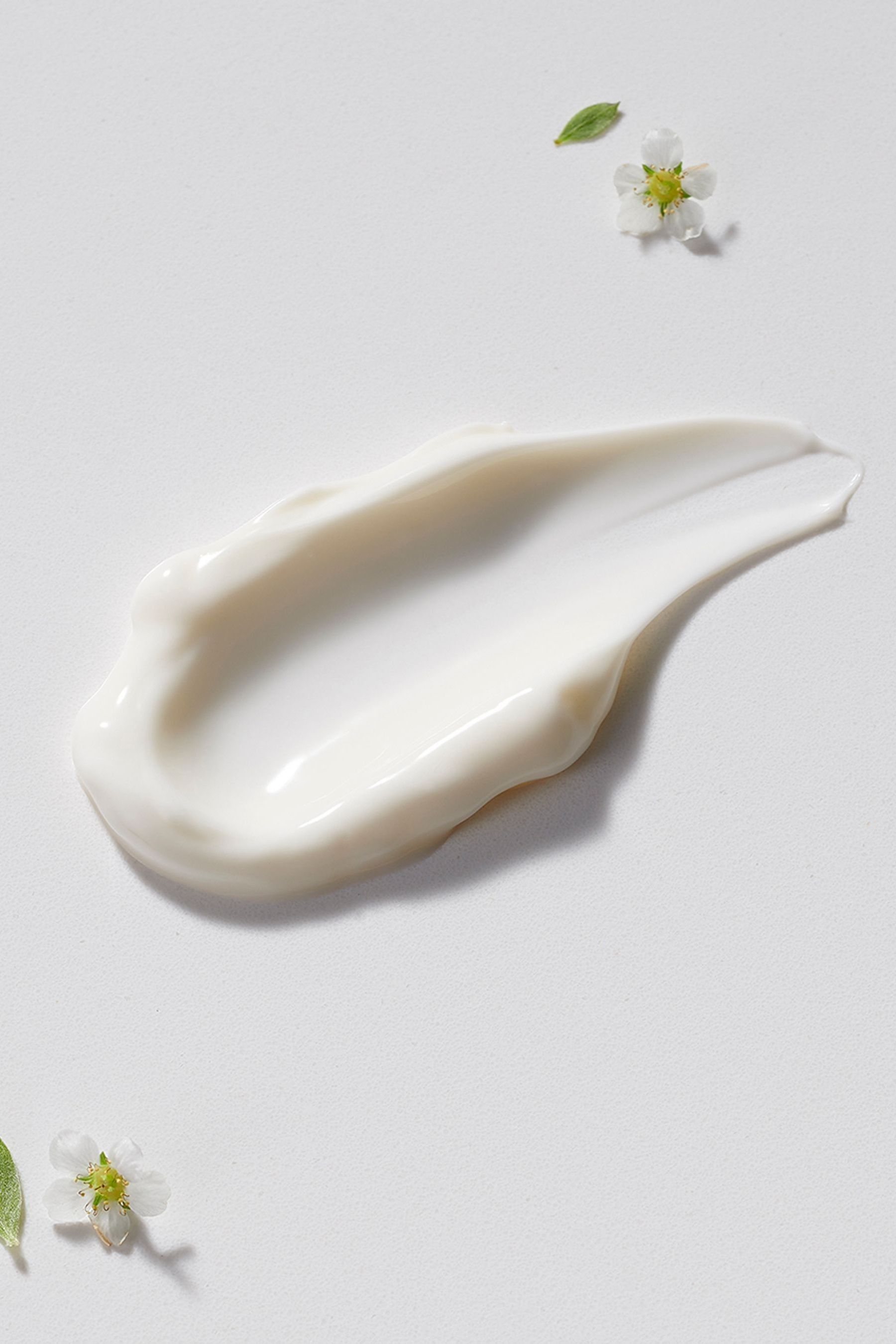 Buy Neals Yard Remedies Wild Rose Body Lotion 200ml from the Next UK